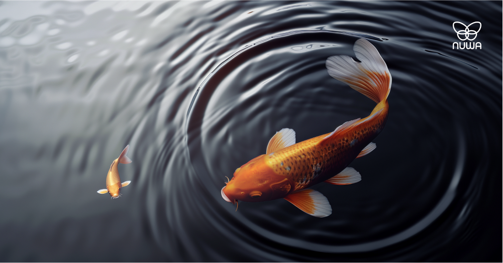 R&D for Startups - Small fish in big ponds